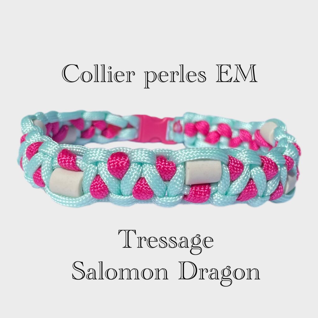 Collier anti parasitaire tressage salomon dragon Elodog