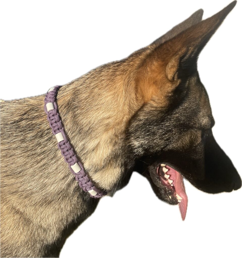 Collier pour chien anti parasitaire naturel aux perles EM tressé en paracorde Elodog