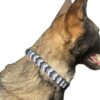 Collier Elodog tressé en paracorde sur un berger allemand
