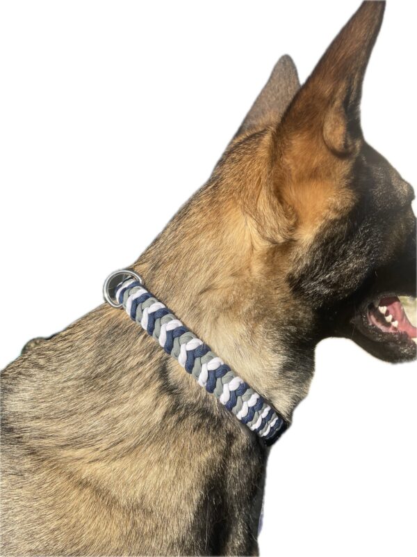 Collier Elodog tressé en paracorde sur un berger allemand