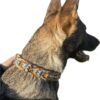 collier-paracorde-valentine-YanzBX9zWOf9Pa64 Collier pour chien en paracorde tressage Valentine avec perles Elodog