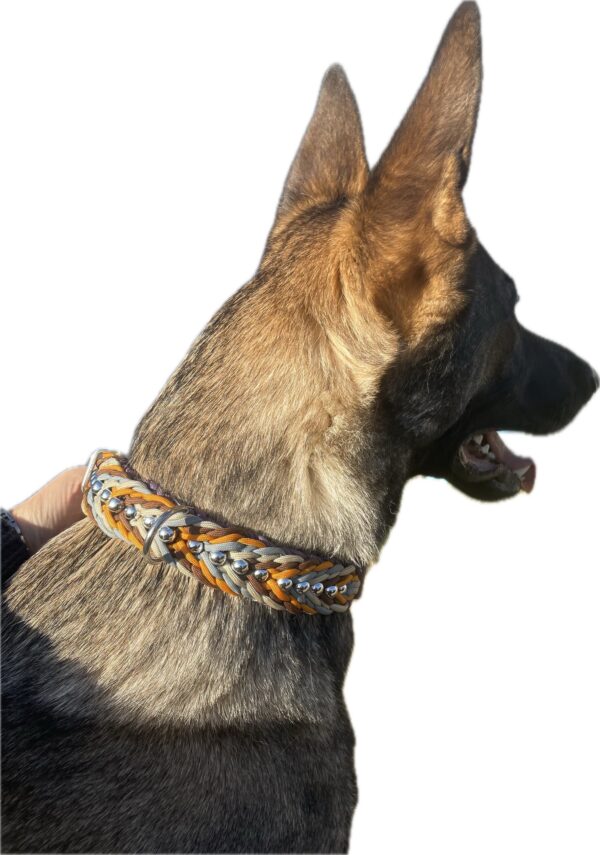 collier-paracorde-valentine-YanzBX9zWOf9Pa64 Collier pour chien en paracorde tressage Valentine avec perles Elodog