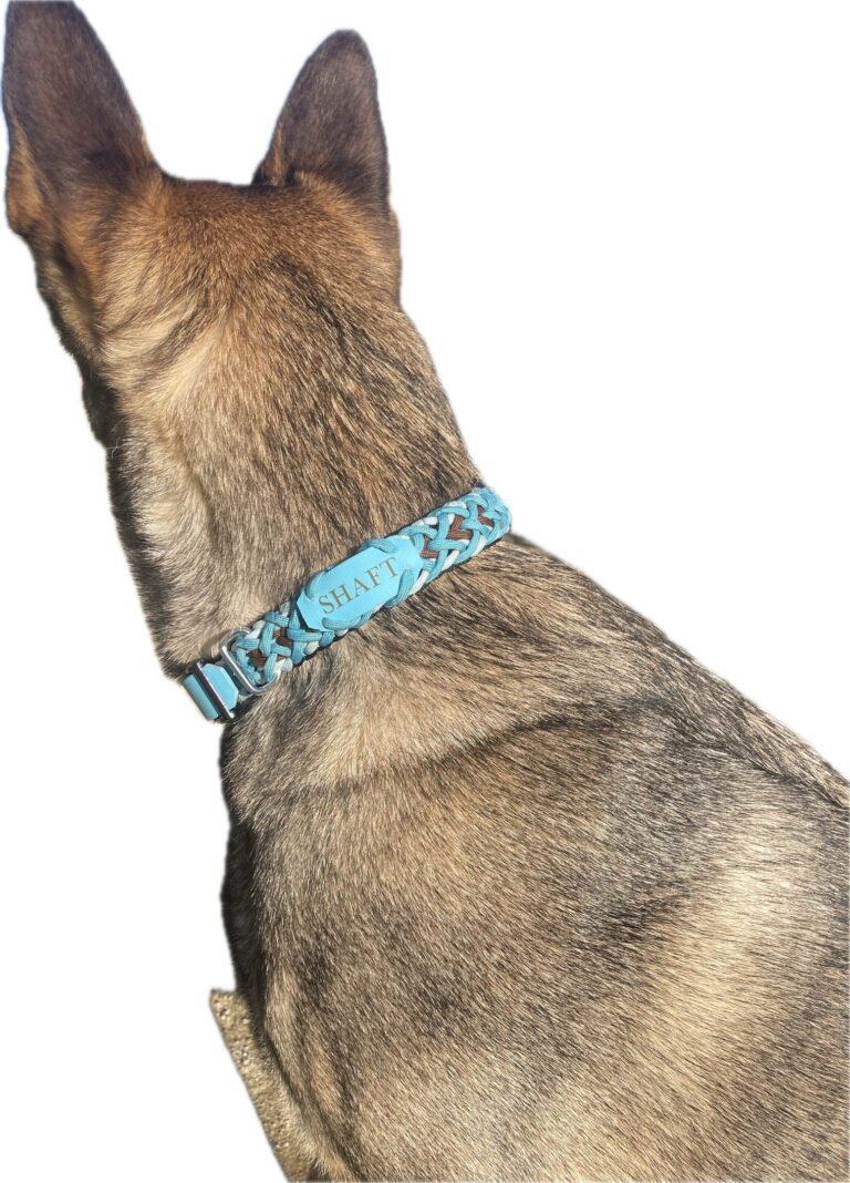collier tressé en paracorde sur mesure et personnalisé Elodog