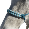 Licol ethologique personnalisé en paracorde Elodog