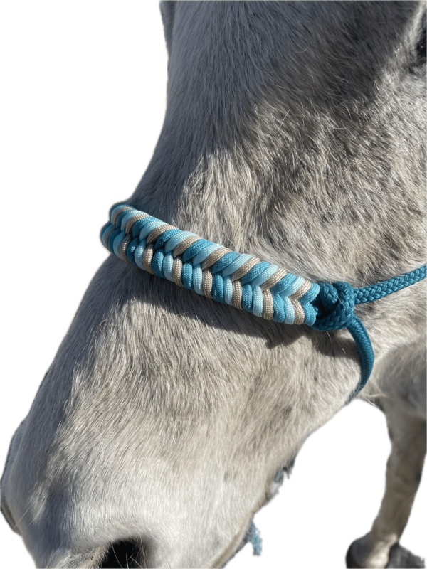 Licol ethologique personnalisé en paracorde Elodog