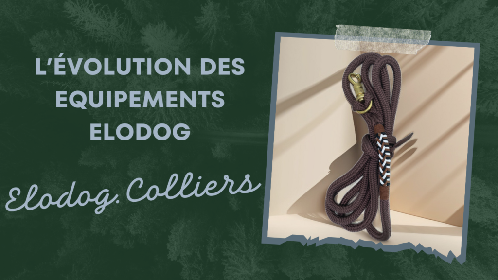 L'evolution des équipements Elodog