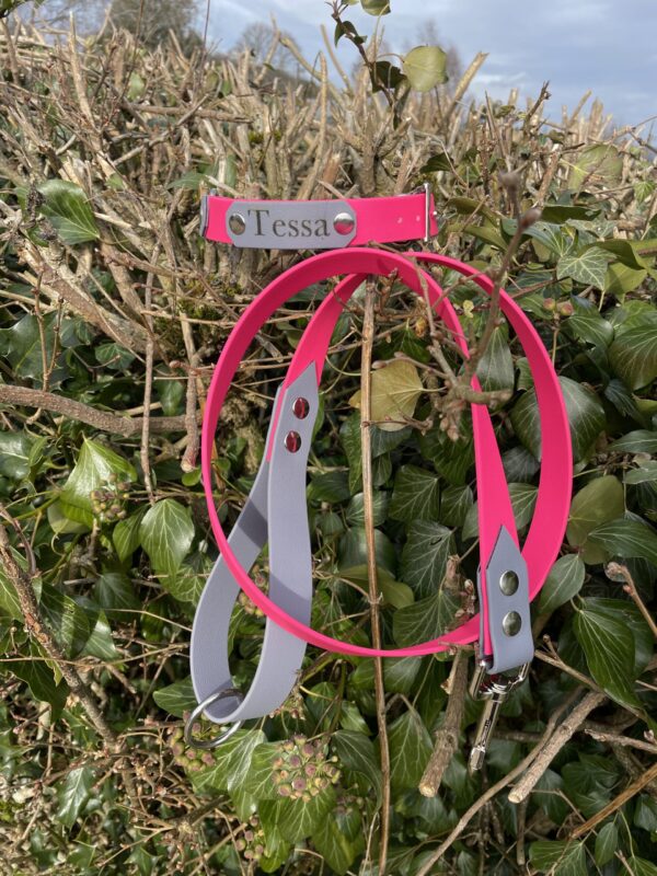 Collier biothane rose et gris personnalisé sur mesure Elodog