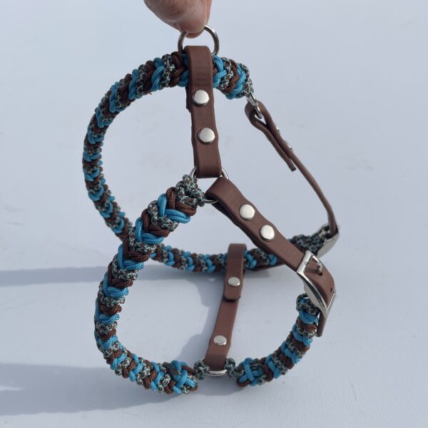 Harnais paracorde tressage Snake Belly Minis chiens Elodog Option ouverture confort