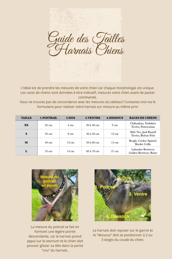 Guide des tailles harnais paracorde Elodog