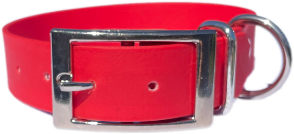 IMG_5328 Collier pour chien en Biothane Personnalisable Elodog