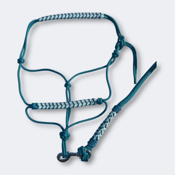 Licol éthologique personnalisable en paracorde tressage Fishtail Elodog