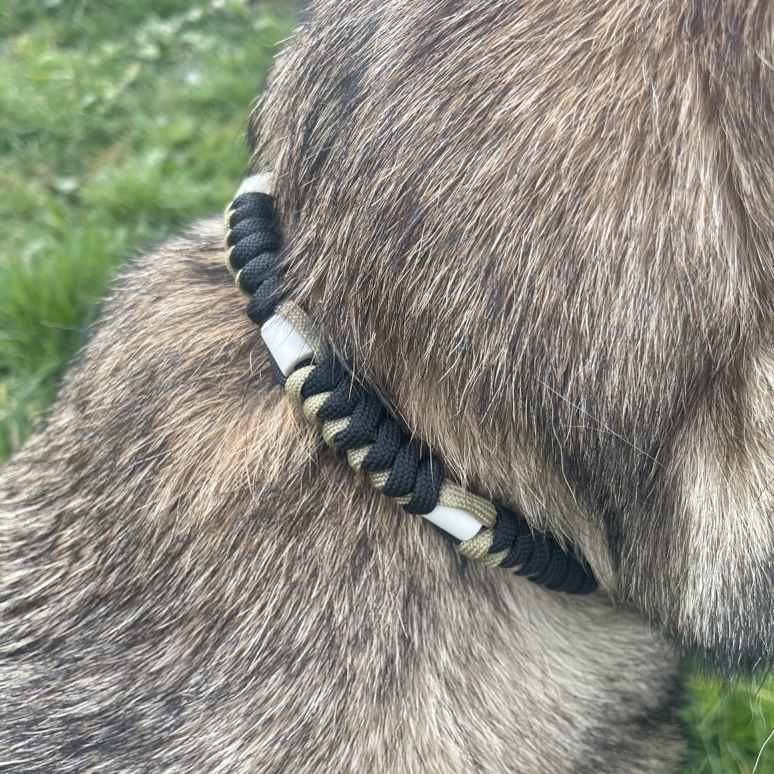 Collier anti parasitaire naturel pour chien avec perles EM Elodog