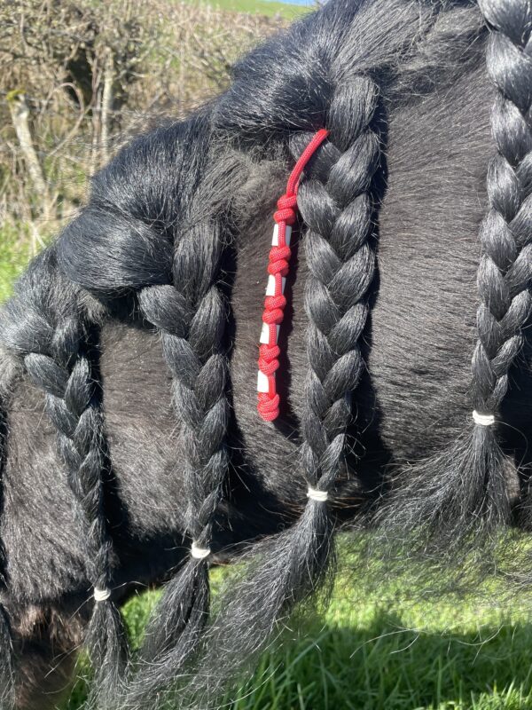 Accessoire anti-tiques naturel pour cheval, TinyTiq en paracorde tressée avec perles EM Elodog, à accrocher dans la crinière ou la queue