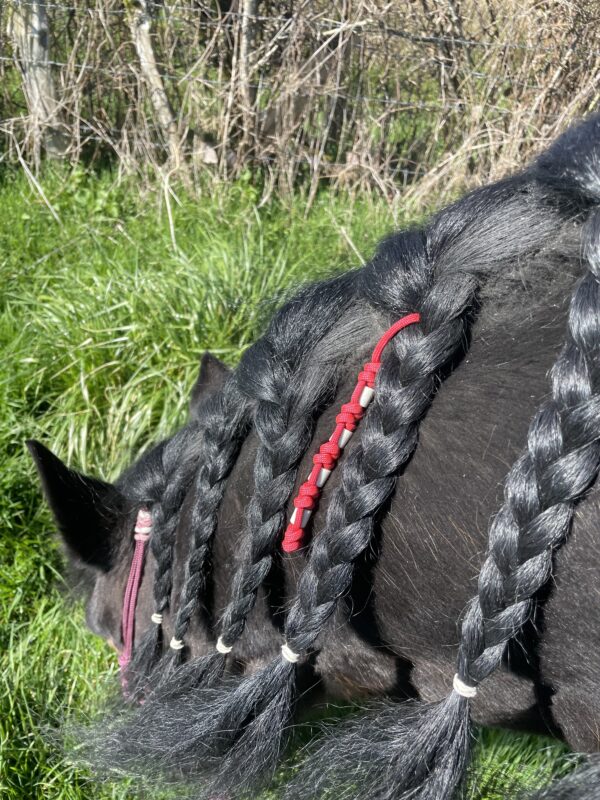 Accessoire anti-tiques naturel pour cheval, TinyTiq en paracorde tressée avec perles EM Elodog, à accrocher dans la crinière ou la queue