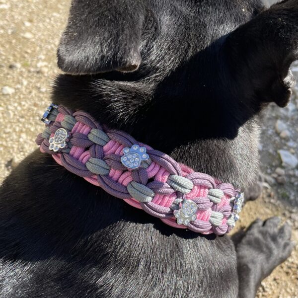 Collier pour chien en paracorde tressage KBK Bar Elodog