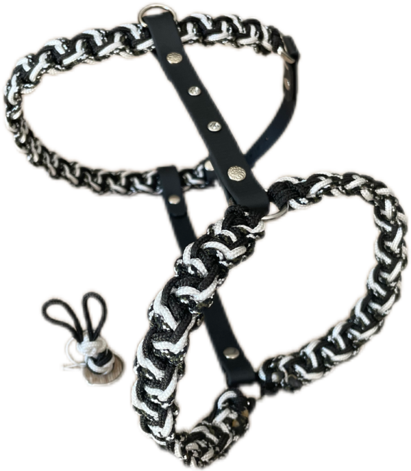 Harnais paracorde tressage Salomon Belly bar Elodog