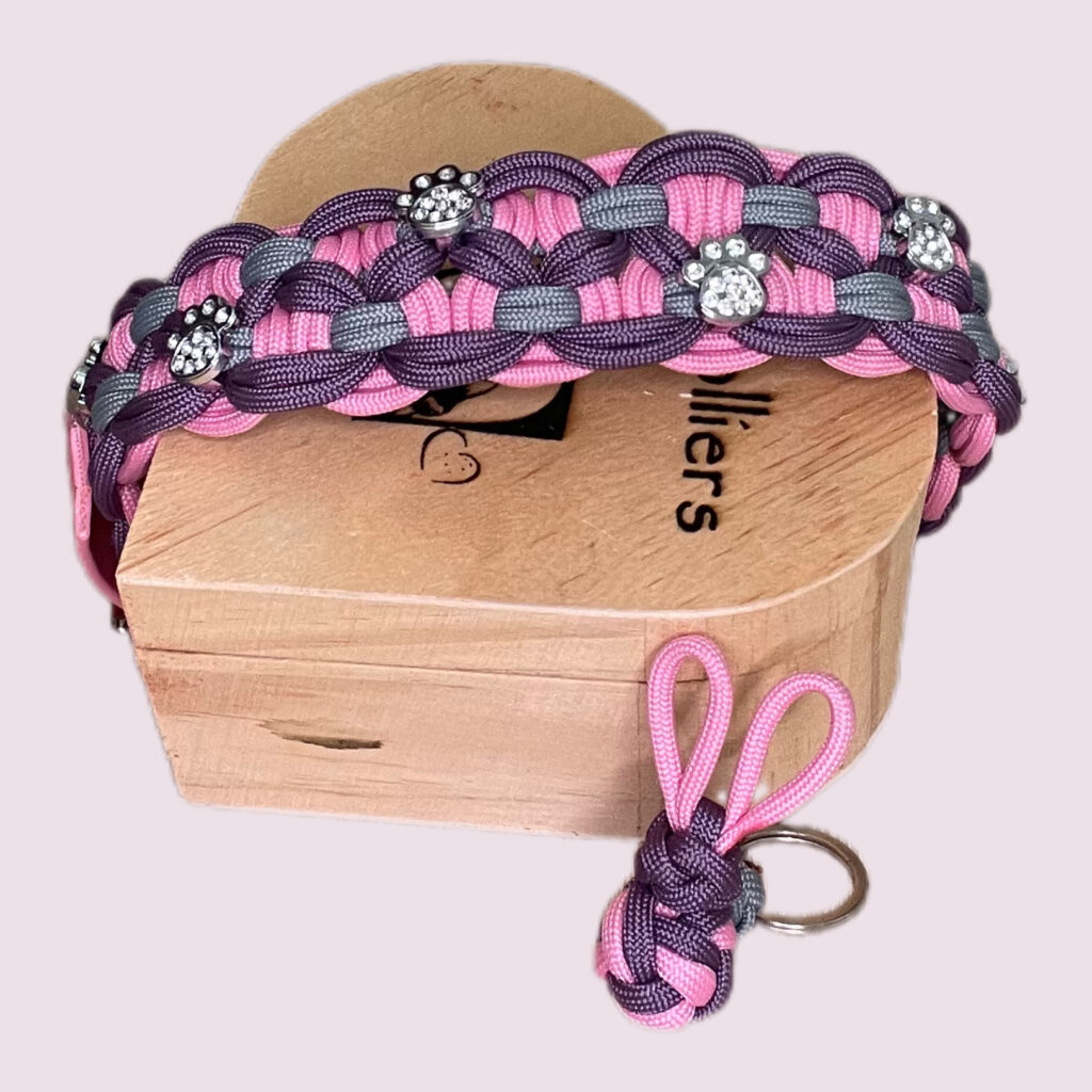 Collier pour chien en paracorde tressage KBK Bar Elodog