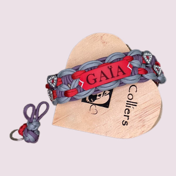 Collier pour chien en paracorde tressage KBK Bar Elodog