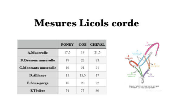 Guide mesures licol éthologique Elodog