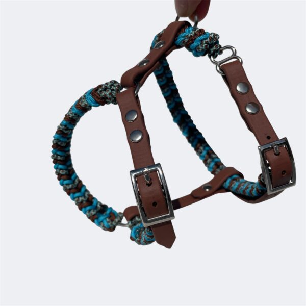 Harnais mini chien en paracorde tressage Snake Belly Elodog