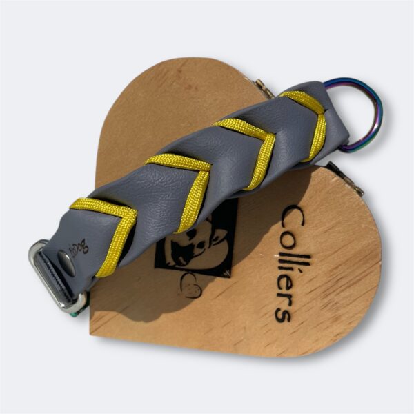 Photoroom_20250311_173344 Collier pour chien en Biothane tressé avec paracorde Elodog
