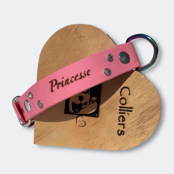 Collier pour chien en biothane personnalisable Elodog