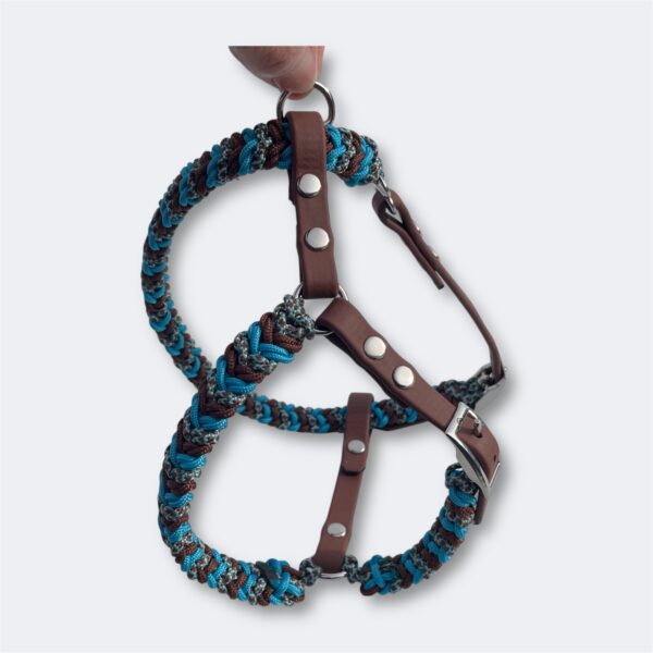 Harnais pour chien en paracorde tressage Snake Belly Elodog