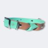 Collier pour chien en biothane tressé personnalisable Elodog