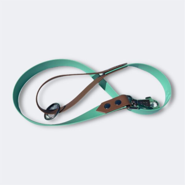 Laisse pour chienne Biothane personnalisable Elodog