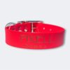 Photoroom_20250311_181059 Collier pour chien en Biothane avec nom gravé Elodog