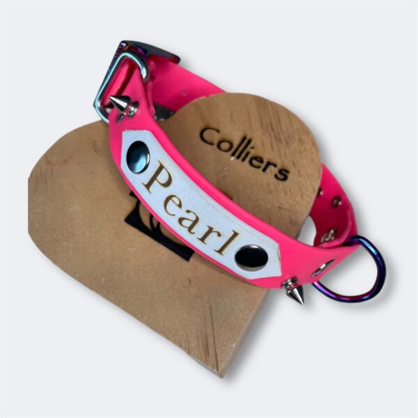 Collier pour chien en biothane personnalisable Elodog
