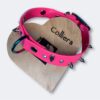 Collier pour chien en biothane personnalisable Elodog