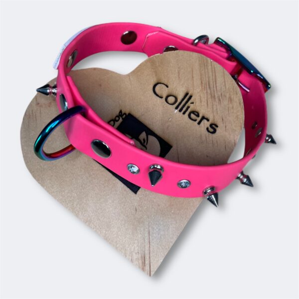 Collier pour chien en biothane personnalisable Elodog