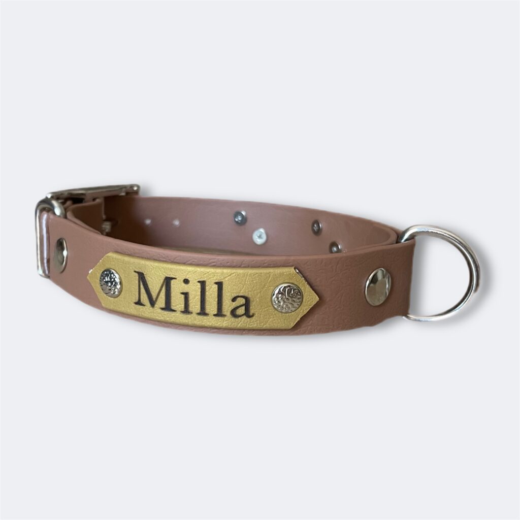 Collier pour chien en biothane personnalisable Elodog