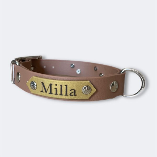 Collier pour chien en biothane personnalisable Elodog