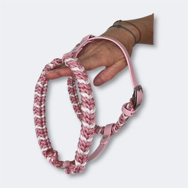Harnais mini chien en paracorde tressage Snake Belly Elodog