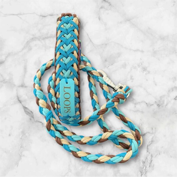Photoroom_20250615_150248 Collier pour chien en paracorde tressage Luna's Fly Trap Elodog