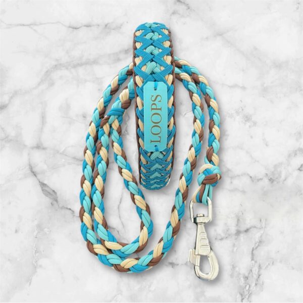 Photoroom_20250615_150407 Collier pour chien en paracorde tressage Luna's Fly Trap Elodog