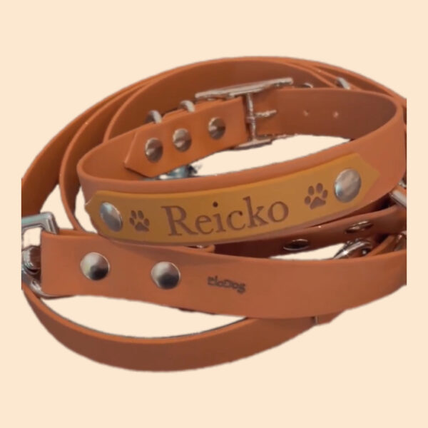Collier pour chien en biothane personnalisable Elodog