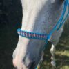 Unknown-22 Licol Ethologique CAELIS bleu océan EloDog
