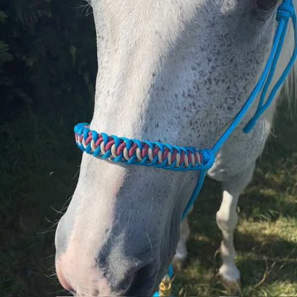 Unknown-22 Licol Ethologique CAELIS bleu océan EloDog