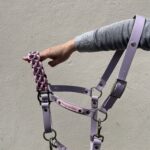 Licol NAÏA violet pastel