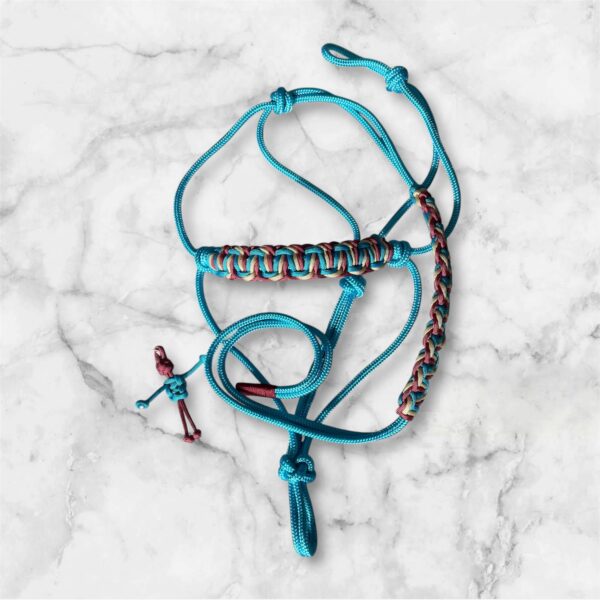 Photoroom_20250425_174722 Licol Ethologique SARENOR bleu océan EloDog