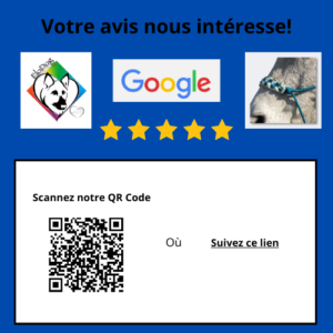 Plaque avis google pour le site Elodog
