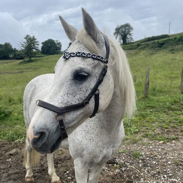 Copie de IMG_9167 Frontal tressé en paracorde avec noued celtique en forme de coeur modèle Arwen Elodog