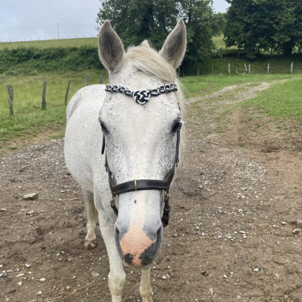 Copie de IMG_9182 Frontal tressé en paracorde avec noued celtique en forme de coeur modèle Arwen Elodog