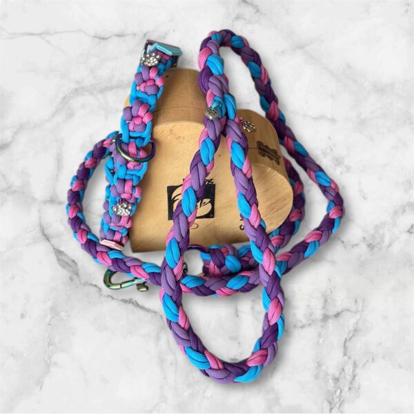 Collier pour chien en paracorde tressée avec formes empreintes de pattes et décorations strass empreintes avec laisse assortie sur mesure personnalisé Elodog
