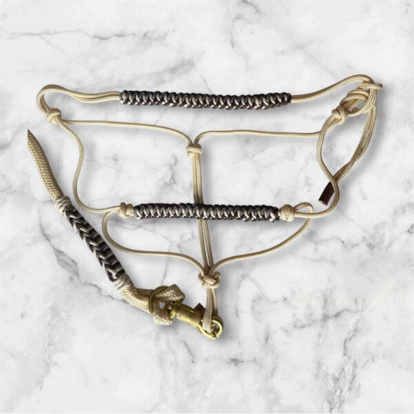 Photoroom_20250525_162835 Licol éthologique tressage cascading bar Elodog