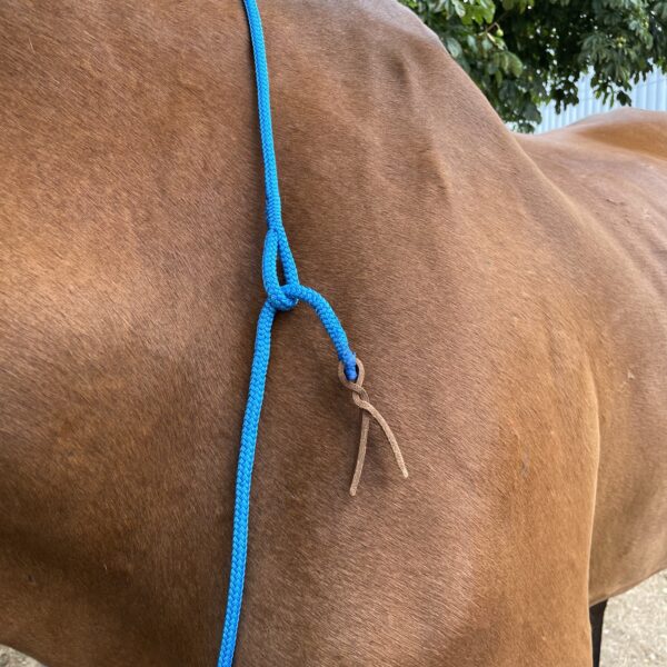 Copie de IMG_9424 Cordelette éthologique fine modèle Seren Elodog