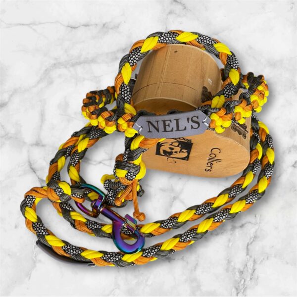 Photoroom_20250702_115002 Laisse tressé en paracorde ZELYRIA Elodog